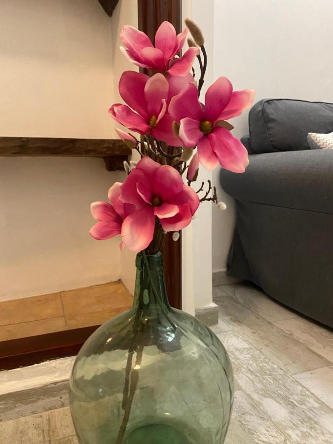 Apartamento La Pepa - Santa Cruz De La Palma Santa Cruz de la Palma  Bagian luar foto
